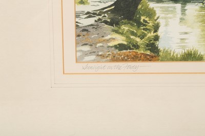 Lot 542 - TERRY BAILEY (B. 1941)