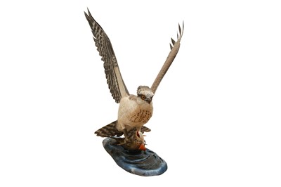 Lot 662 - MIKE WOOD: A FINE HAND CARVED LIFESIZE OSPREY AND BROWN TROUT