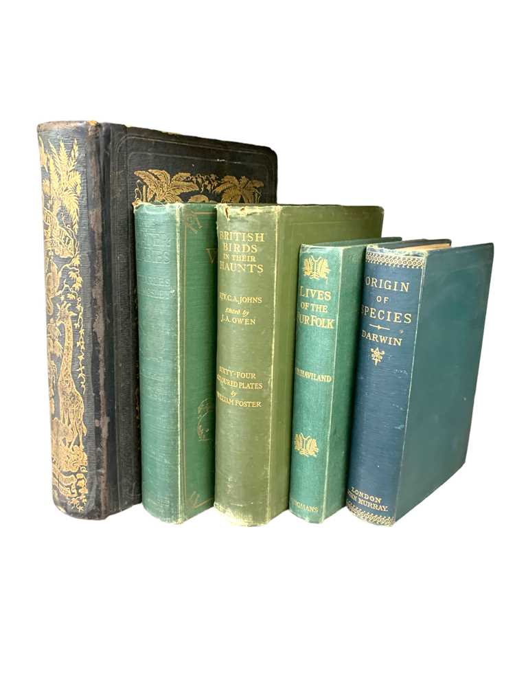 Lot 144 - Darwin. Origin of Species. 6th ed. 1890