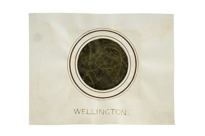 Lot 600 - Wellington (Arthur Wellesley, Duke of)