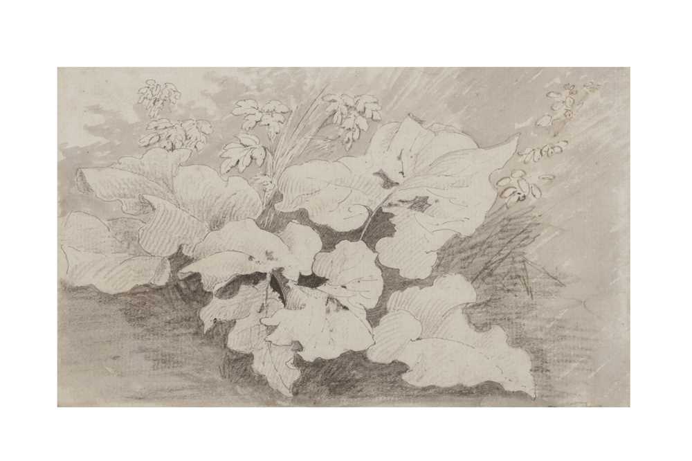 Lot 6 - ENGLISH SCHOOL 18TH CENTURY