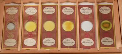 Lot 140 - An Unusual Collection of Microscope Slides. Box Marked Chemical Polarscope.