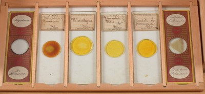 Lot 140 - An Unusual Collection of Microscope Slides. Box Marked Chemical Polarscope.