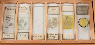 Lot 140 - An Unusual Collection of Microscope Slides. Box Marked Chemical Polarscope.