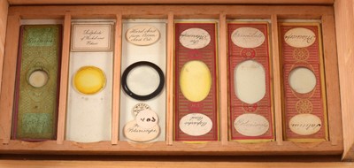 Lot 140 - An Unusual Collection of Microscope Slides. Box Marked Chemical Polarscope.
