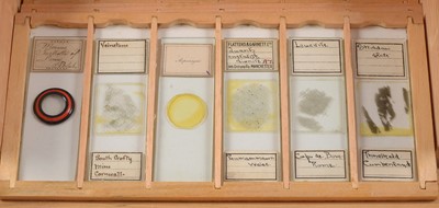 Lot 140 - An Unusual Collection of Microscope Slides. Box Marked Chemical Polarscope.