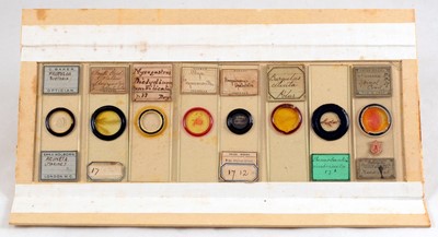 Lot 139 - A Storage Box of Mostly Coral & Other Marine Life Microscope Slides.