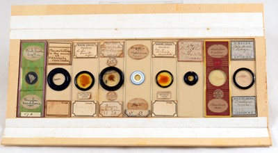 Lot 139 - A Storage Box of Mostly Coral & Other Marine Life Microscope Slides.