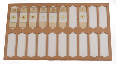 Lot 142 - A Large Storage Case of Botanical "Microscopical Preparations" Microscope Slides.