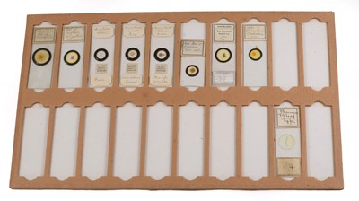 Lot 142 - A Large Storage Case of Botanical "Microscopical Preparations" Microscope Slides.