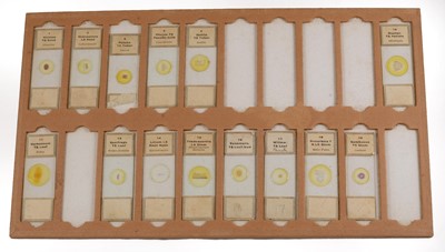 Lot 142 - A Large Storage Case of Botanical "Microscopical Preparations" Microscope Slides.