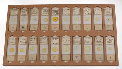 Lot 142 - A Large Storage Case of Botanical "Microscopical Preparations" Microscope Slides.