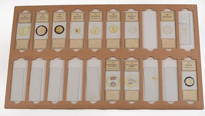 Lot 142 - A Large Storage Case of Botanical "Microscopical Preparations" Microscope Slides.