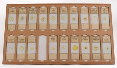 Lot 142 - A Large Storage Case of Botanical "Microscopical Preparations" Microscope Slides.