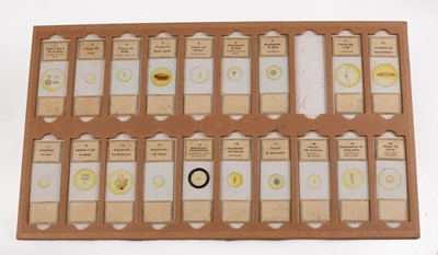 Lot 142 - A Large Storage Case of Botanical "Microscopical Preparations" Microscope Slides.