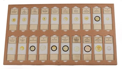 Lot 142 - A Large Storage Case of Botanical "Microscopical Preparations" Microscope Slides.