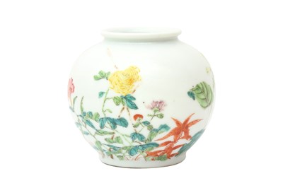 Lot 717 - A CHINESE FAMILLE-ROSE 'COCKSCOMB FLOWERS' JAR