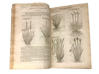 Lot 146 - Gerard. The Herball Historie of Plantes, Second Ed. 1633