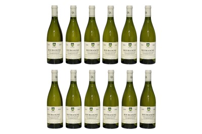 Lot 46 - Bourgogne Blanc, Côte Châlonnaise, François D'Allaines, 2020, twelve bottles