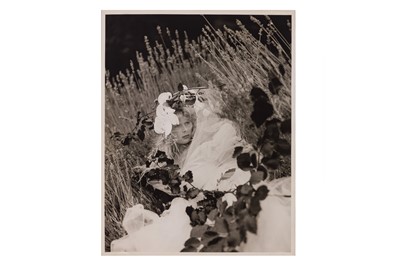 Lot 255 - Bruce Weber (b.1946)