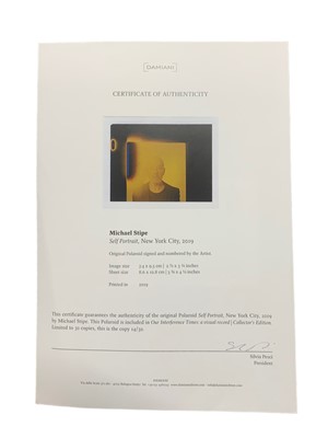 Lot 391 - Stipe (Michael) & Copeland (Douglas) Our Interference Times: A Visual Record, Collector’s Edition