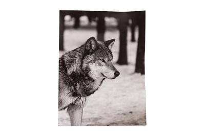 Lot 218 - Archive of Photographic Work and Personal Effects of Wolfgang Suschitzky (1908-1997)