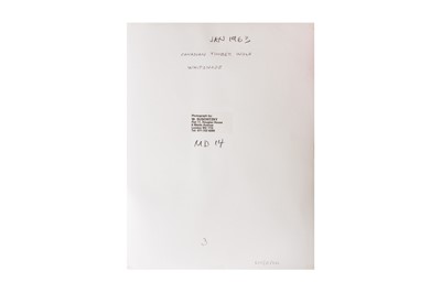Lot 218 - Archive of Photographic Work and Personal Effects of Wolfgang Suschitzky (1908-1997)