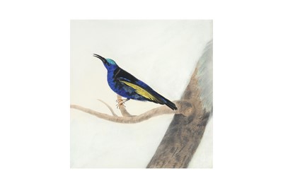 Lot 105 - A CHINESE EXPORT PAINTING OF A BIRD