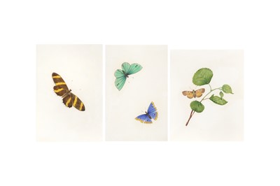 Lot 107 - THREE CHINESE EXPORT PAINTINGS OF BUTTERFLIES