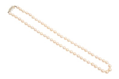Lot 43 - A PEARL NECKLACE