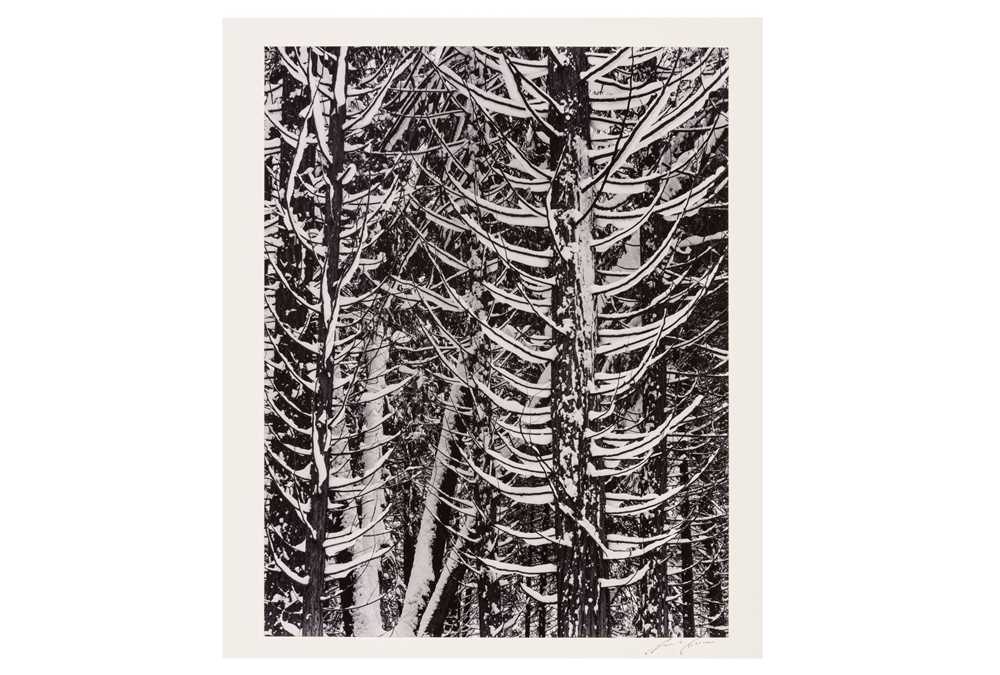 Lot 246 - Ansel Adams (1902-1984)