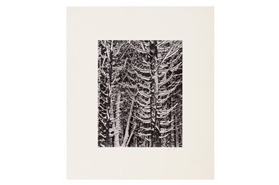 Lot 246 - Ansel Adams (1902-1984)