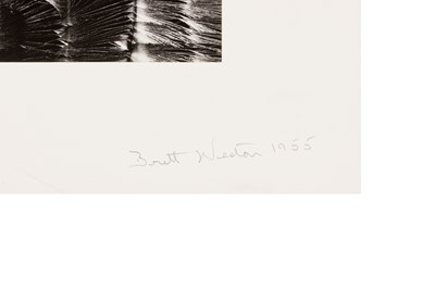 Lot 244 - Brett Weston (1911-1993)
