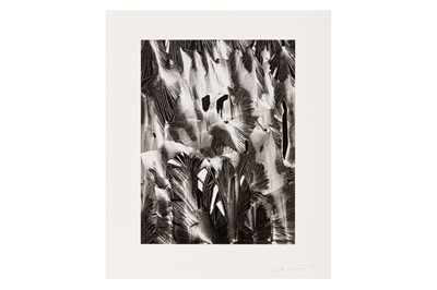 Lot 244 - Brett Weston (1911-1993)