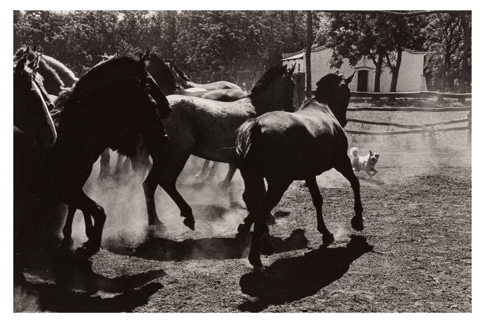 Lot 220 - Elliott Erwitt (b.1928)