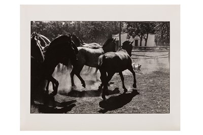 Lot 220 - Elliott Erwitt (b.1928)