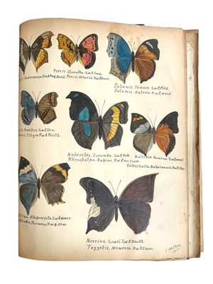 Lot 90 - Walker. Exotic Butterflies. original illustrations. 1908 & 1915