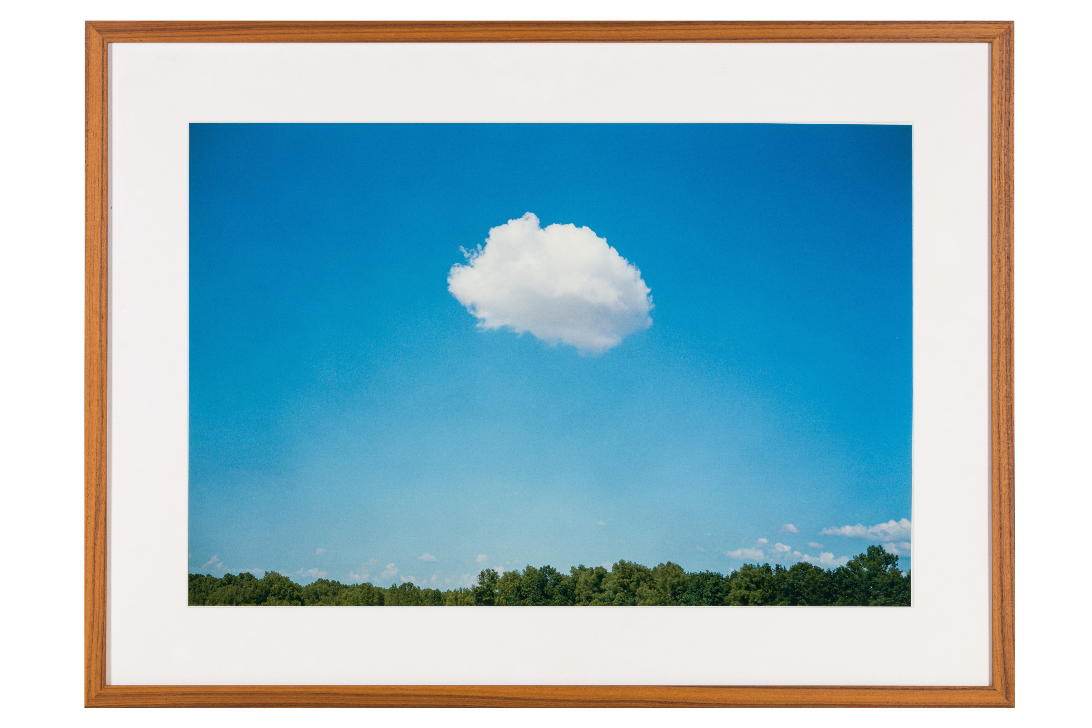 Lot 309 - William Eggleston (b.1939)