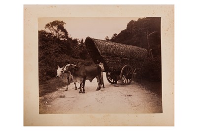 Lot 93 - CEYLON INTEREST, Photographer unknown, c.1860s-1870s