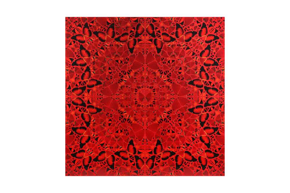 Gorgeous Look Ahead: Damien Cook Scene for Mobile Gorgeous Look Ahead: Damien Cook Scene for Mobile