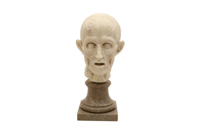 Lot 352 - A MARBLE ECORCHE BUST OF A MAN