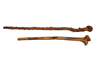 Lot 554 - A ROOT WALKING STICK AND ANOTHER SIMILAR