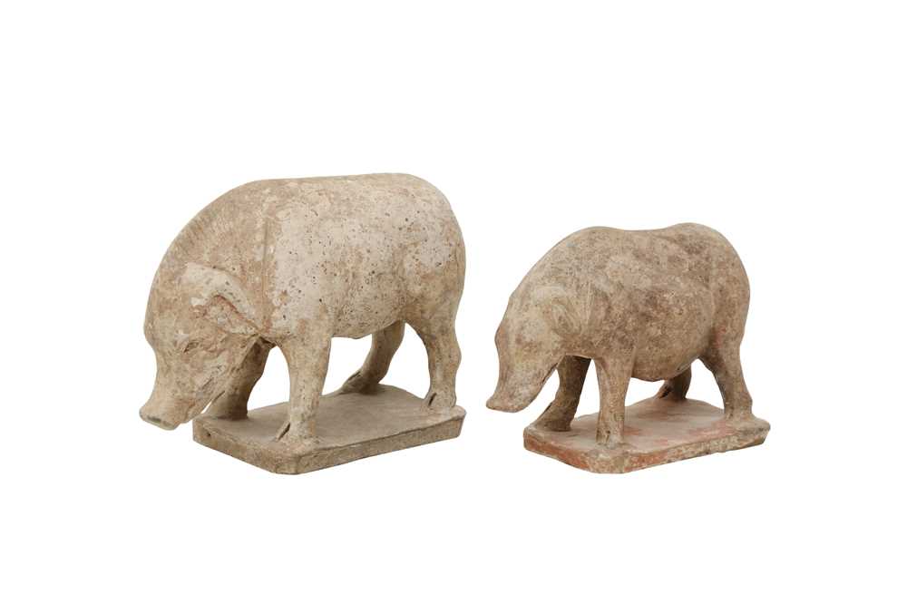 Lot 655 - TWO CHINESE POTTERY FIGURES OF BOARS