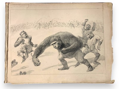 Lot 291 - Gorilla Fight. He awoke the next Morning and found Himself Famous!!