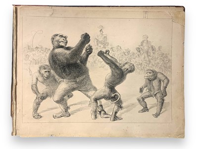 Lot 291 - Gorilla Fight. He awoke the next Morning and found Himself Famous!!