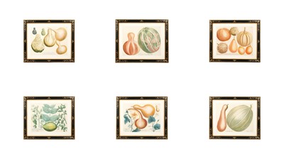 Lot 389 - A GROUP OF SIX FRAMED GOURD PRINTS