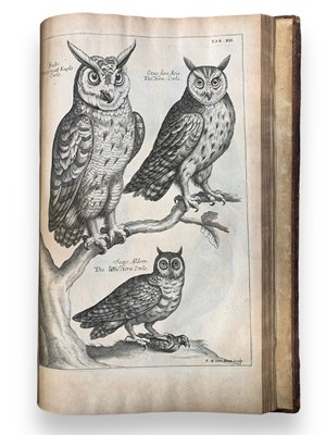 Lot 94 - Willughby. The Ornithology, first edition in English 1678