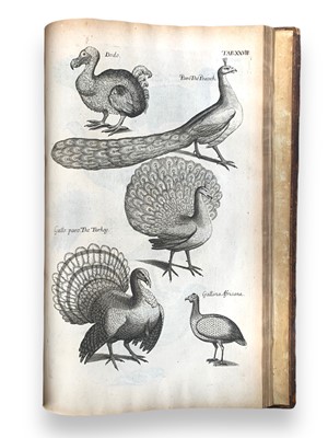 Lot 94 - Willughby. The Ornithology, first edition in English 1678