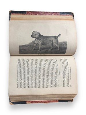 Lot 244 - ‘An Operator’ [Jon Bee], The Fancy