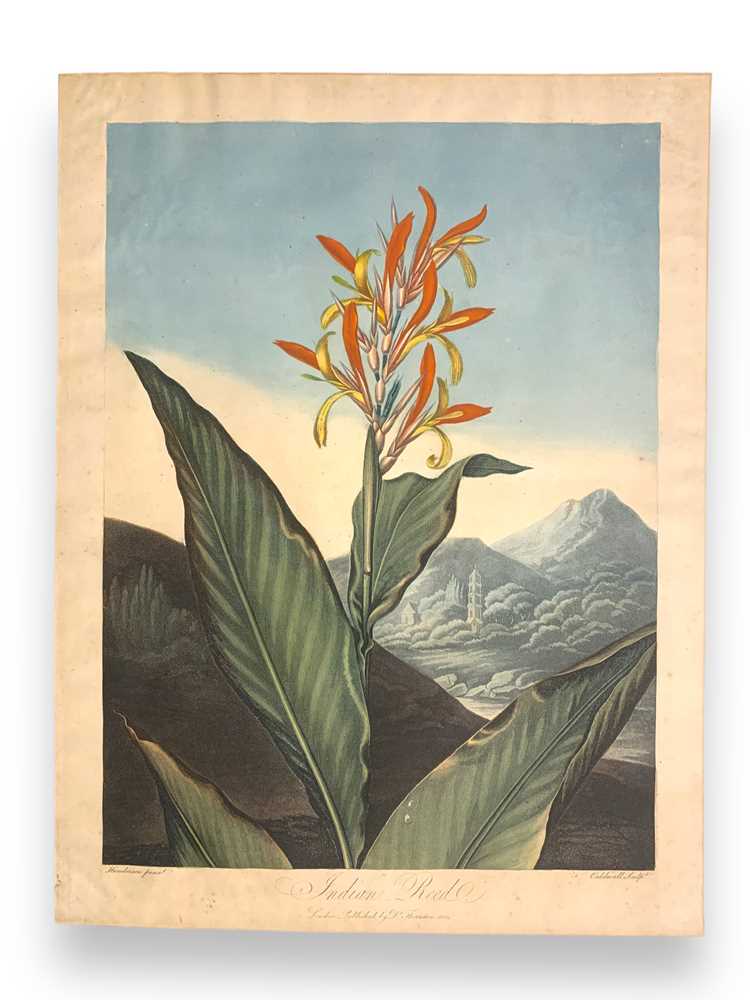 Lot 91 - Thornton (Robert John) Indian Reed